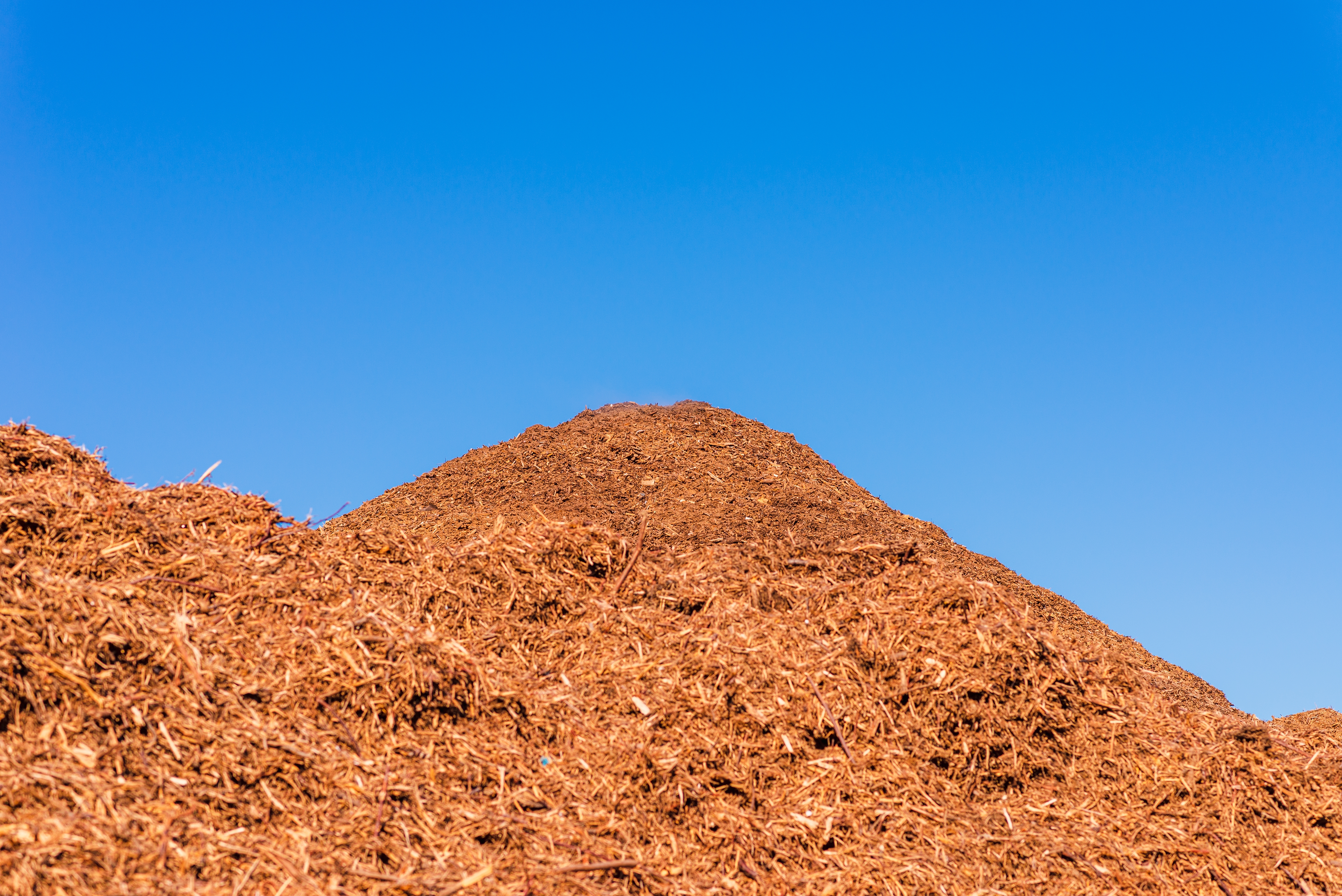 aufgehäufter Berg aus Hackschnitzeln